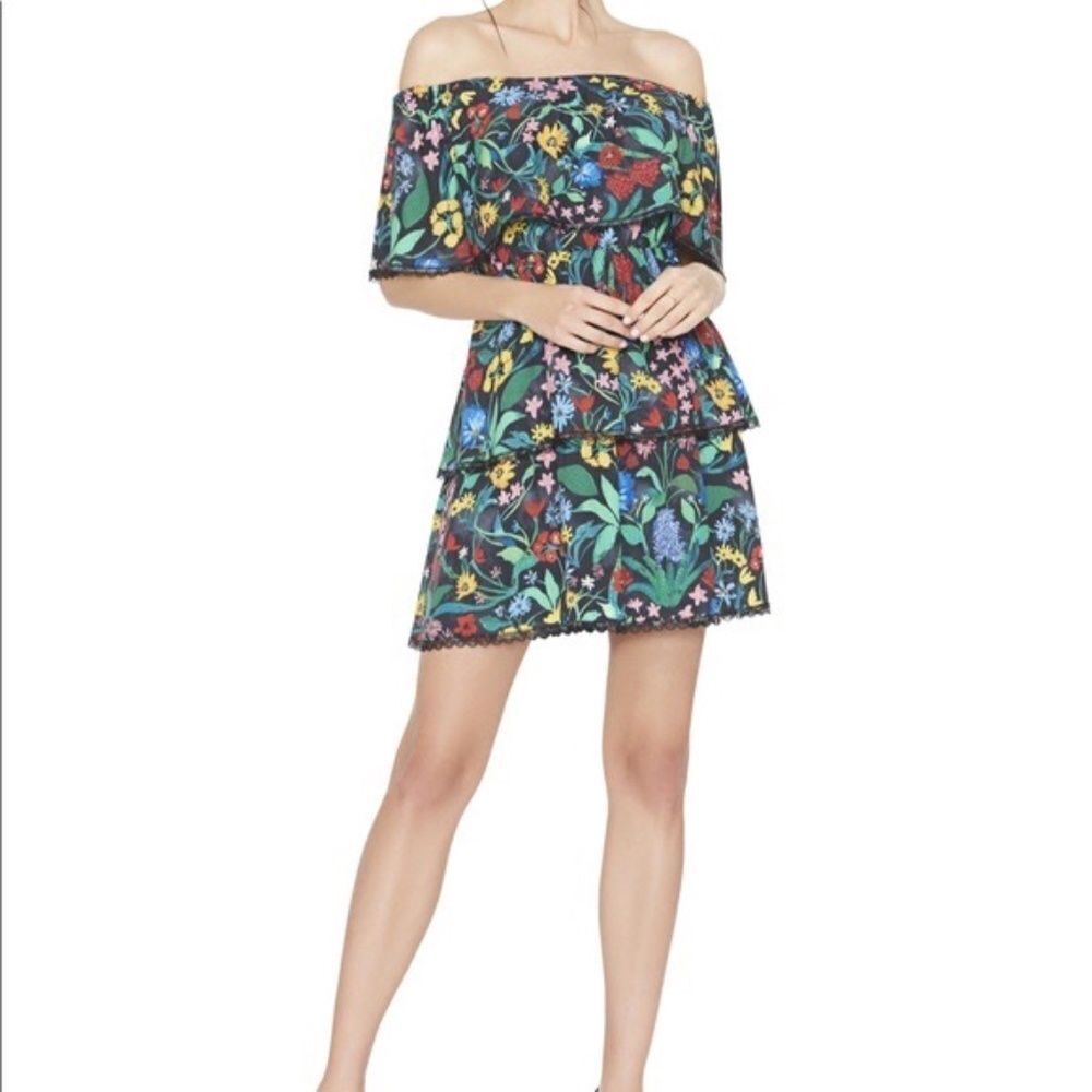 Alice + Olivia Tyler Floral Black Ruffle/Lace Trim Peasant Dress Sz 8